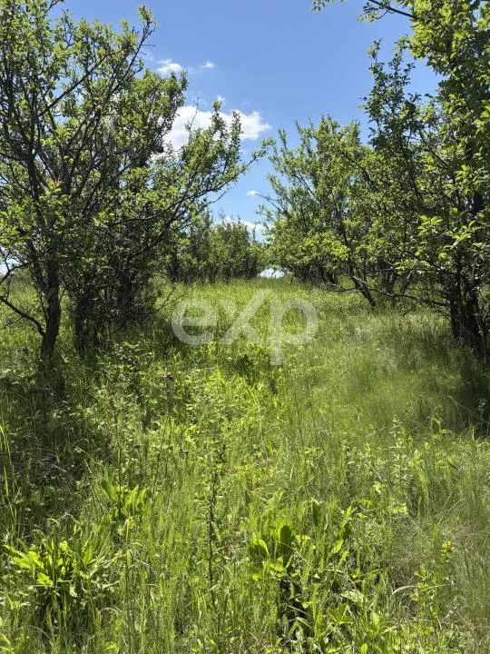 Teren 2.200 mp | 11 km de Pitești | Vanzare integral sau parcelă de 500 mp - foto 7