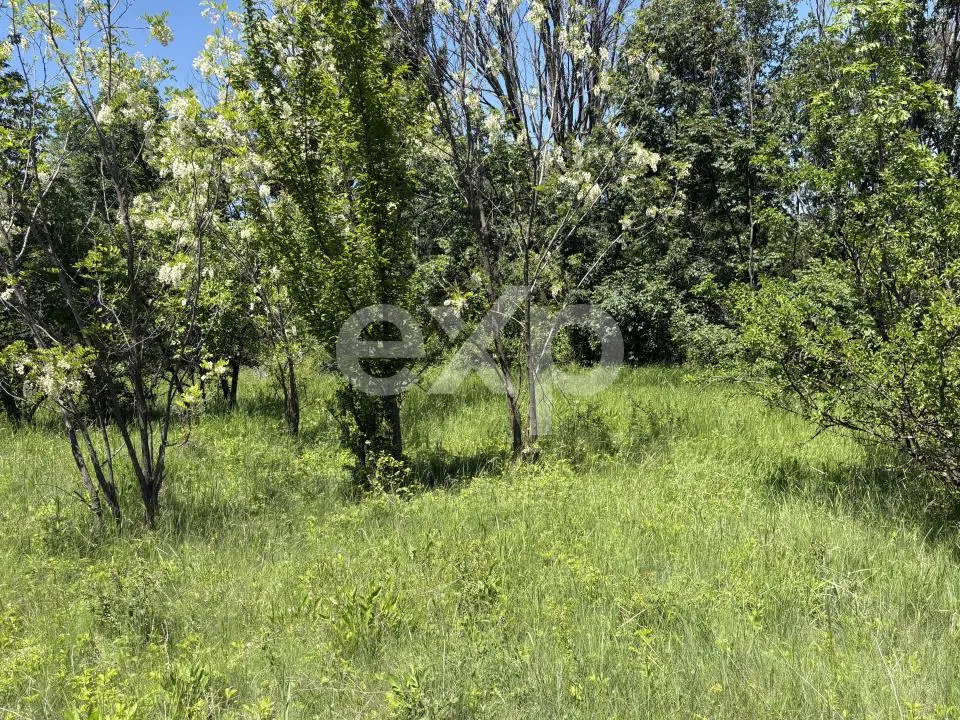 Teren 2.200 mp | 11 km de Pitești | Vanzare integral sau parcelă de 500 mp - foto 8