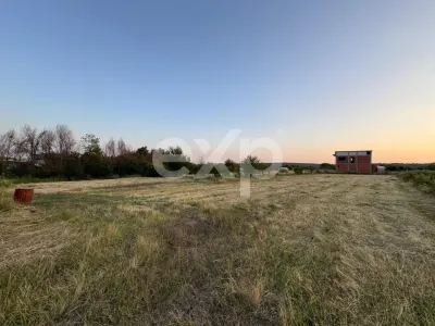 Teren 1650 mp intravilan Trivale - Olteni – cadru natural langa Padure - Pitesti