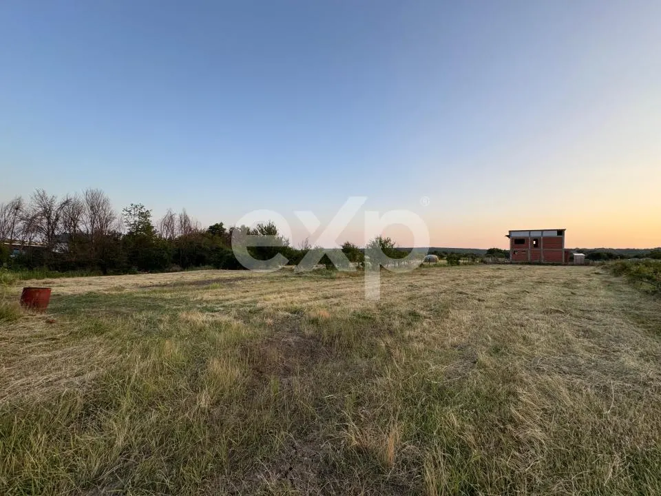 Teren 1650 mp intravilan Trivale - Olteni – cadru natural langa Padure - foto 1