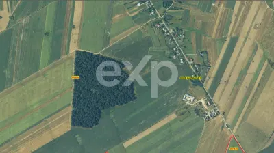 20 Ha Padure stejar la 10 km de Pitești - foto 3