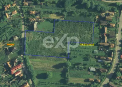 Teren la tara intravilan Bajesti, Balilesti, Arges | 9.464 mp | 7 euro/mp - Balilesti