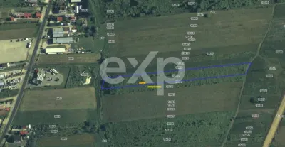 Teren 10.000 mp de vânzare – Zona OMW - Albota - 8 / Euro mp - Albota