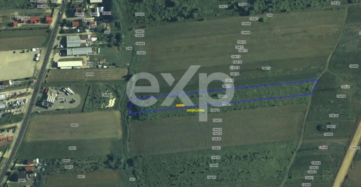 Teren 10.000 mp de vânzare – Zona OMW - Albota - 8 / Euro mp - foto 1