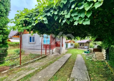 Casă de vânzare în Nucșoara – Sboghițești, teren 2400 mp - Nucsoara
