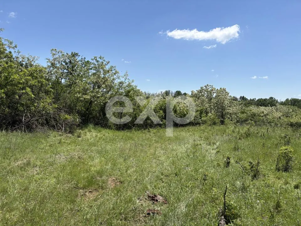 Teren 3015 mp Moșoaia | Zonă liniștită lângă pădure | Ideal casă | 15,99 €/mp - foto 5
