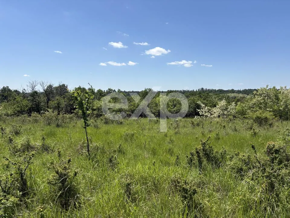 Teren 3015 mp Moșoaia | Zonă liniștită lângă pădure | Ideal casă | 15,99 €/mp - foto 6