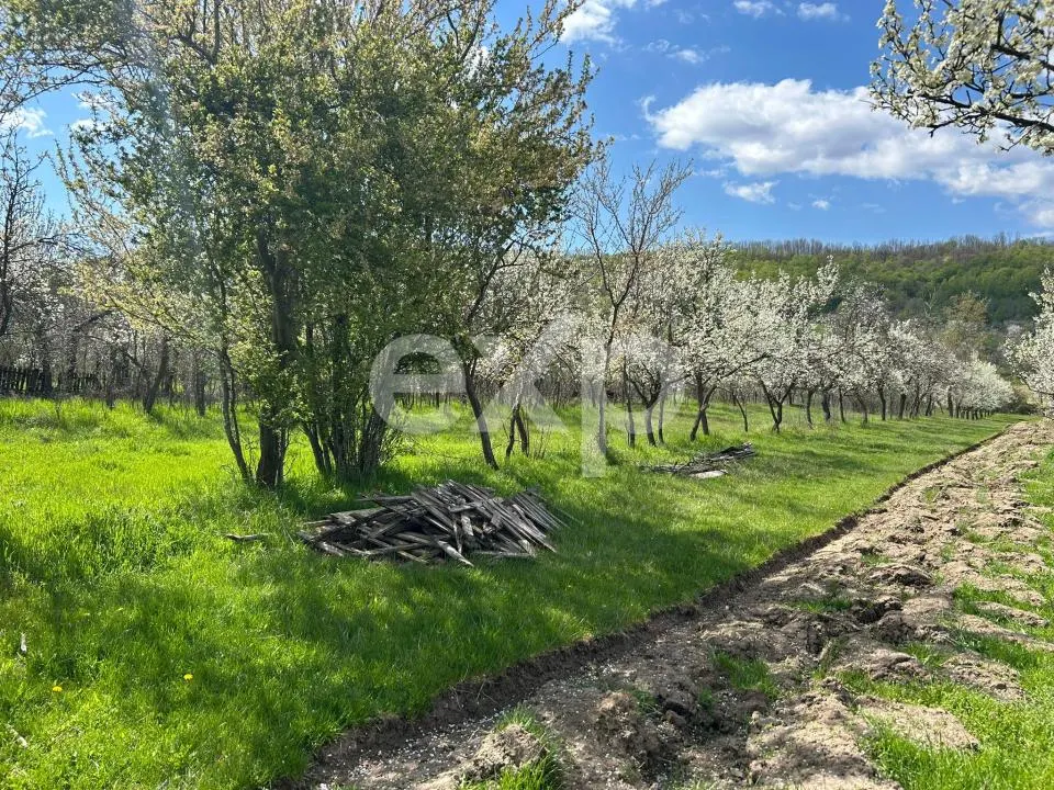 Casă la țară | Com Cocu | cu teren 3940 mp și livadă – zonă liniștită - foto 3