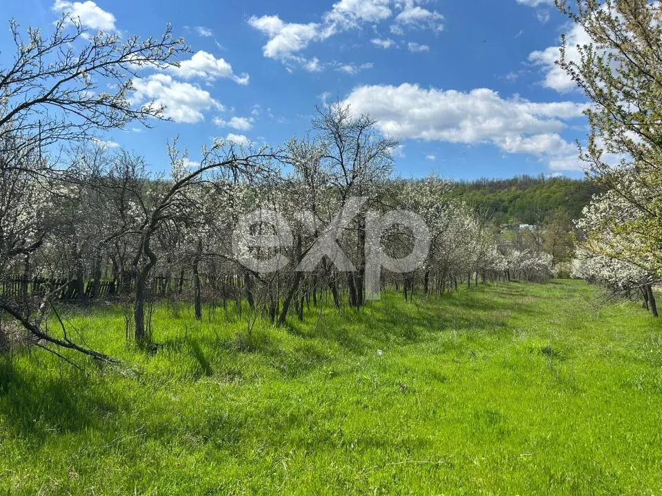 Casă la țară | Com Cocu | cu teren 3940 mp și livadă – zonă liniștită - foto 4
