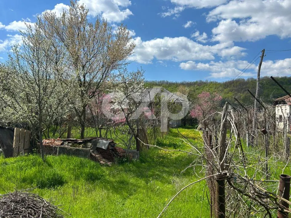 Casă la țară | Com Cocu | cu teren 3940 mp și livadă – zonă liniștită - foto 5