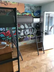 De inchiriat vila in Pitești zona Teilor ideala pentru grupuri de lucru - foto 7