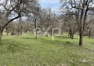 Oportunitate investiție în Corbi, Argeș | 22.000 mp teren în zonă de poveste - foto 2