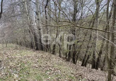 Oportunitate investiție în Corbi, Argeș | 22.000 mp teren în zonă de poveste - foto 3