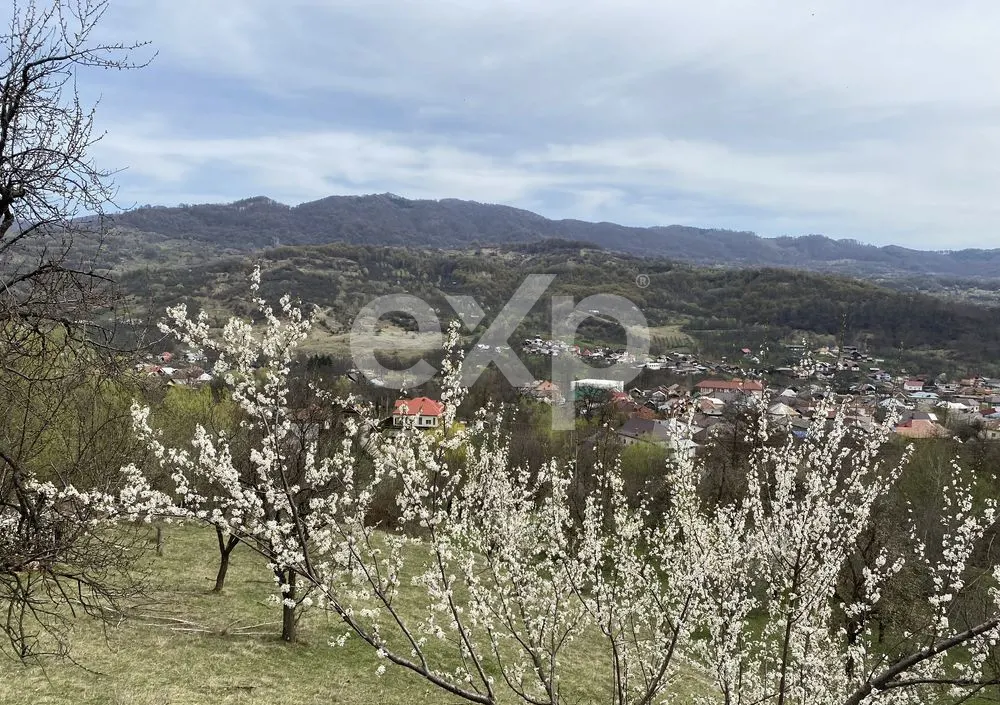 Oportunitate investiție în Corbi, Argeș | 22.000 mp teren în zonă de poveste - foto 4