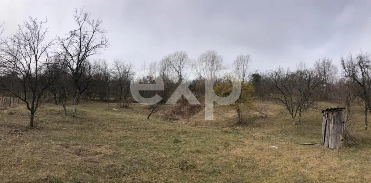 Teren intravilan 2.454 mp cu casă cadou – Zona Runcu, ideal pensiune - foto 2