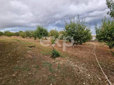Teren de vanzare  intravilan 700 mp + 800mp livada  Racovița (DB) - foto 2