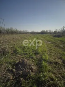 De vanzare teren la munte , in Rucar , zona Iezer Papusa, Arges, - Rucar
