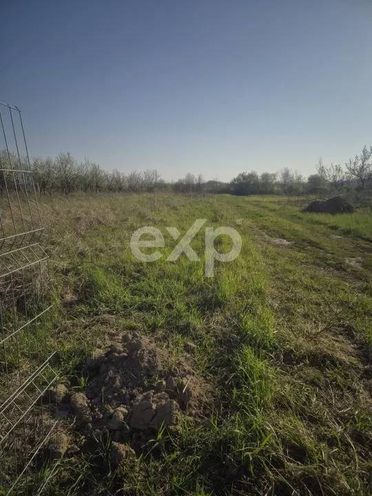 De vanzare teren la munte , in Rucar , zona Iezer Papusa, Arges, - foto 1
