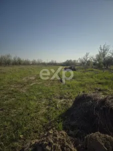 De vanzare teren la munte , in Rucar , zona Iezer Papusa, Arges, - foto 2