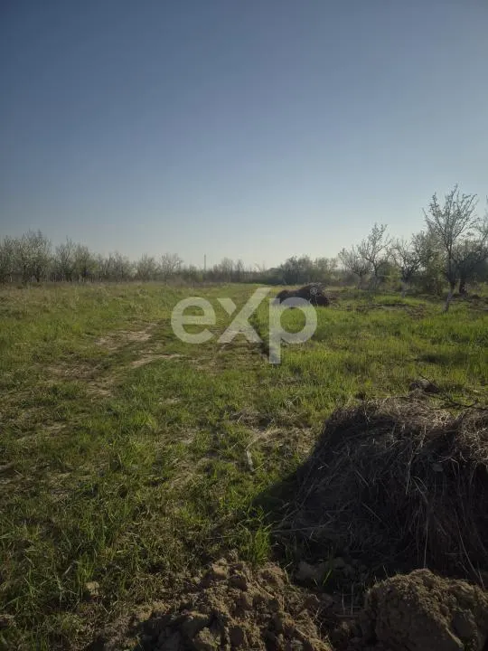De vanzare teren la munte , in Rucar , zona Iezer Papusa, Arges, - foto 2
