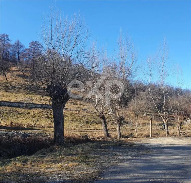 Teren intravilan Valea Româneștilor – 4614 mp, utilități la limită, Campulung - foto 1