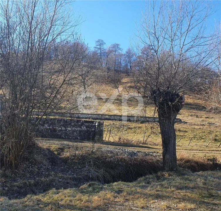 Teren intravilan Valea Româneștilor – 4614 mp, utilități la limită, Campulung - foto 2