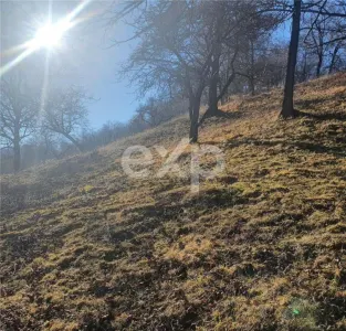Teren intravilan Valea Româneștilor – 4614 mp, utilități la limită, Campulung - foto 3