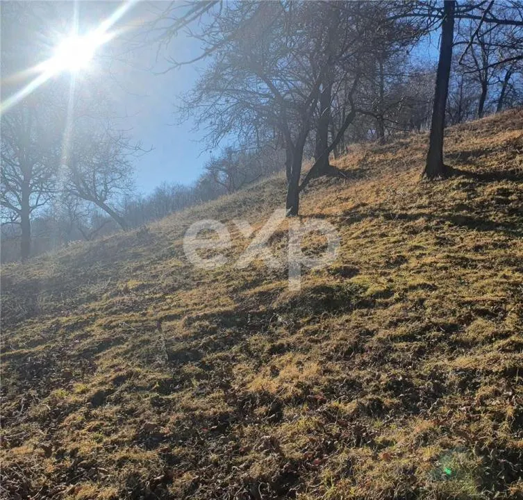 Teren intravilan Valea Româneștilor – 4614 mp, utilități la limită, Campulung - foto 3