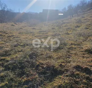 Teren intravilan Valea Româneștilor – 4614 mp, utilități la limită, Campulung - foto 5
