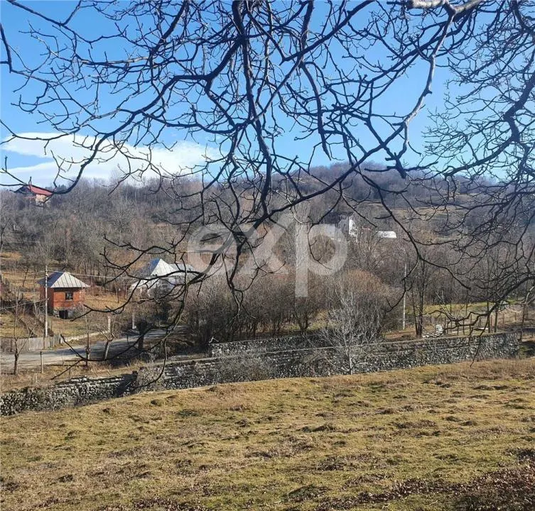 Teren intravilan Valea Româneștilor – 4614 mp, utilități la limită, Campulung - foto 6