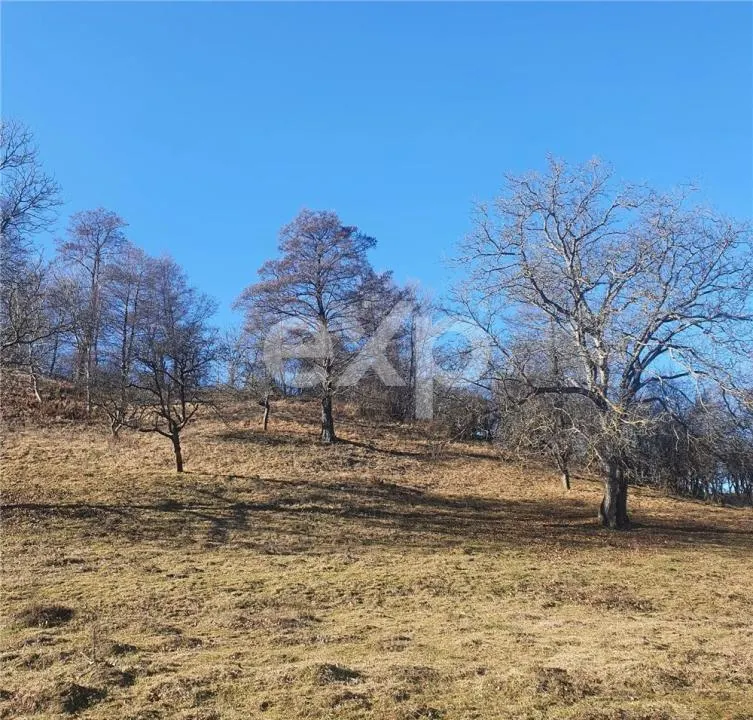 Teren intravilan Valea Româneștilor – 4614 mp, utilități la limită, Campulung - foto 7