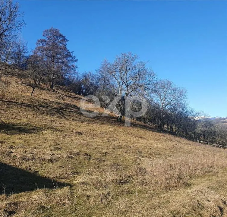 Teren intravilan Valea Româneștilor – 4614 mp, utilități la limită, Campulung - foto 9