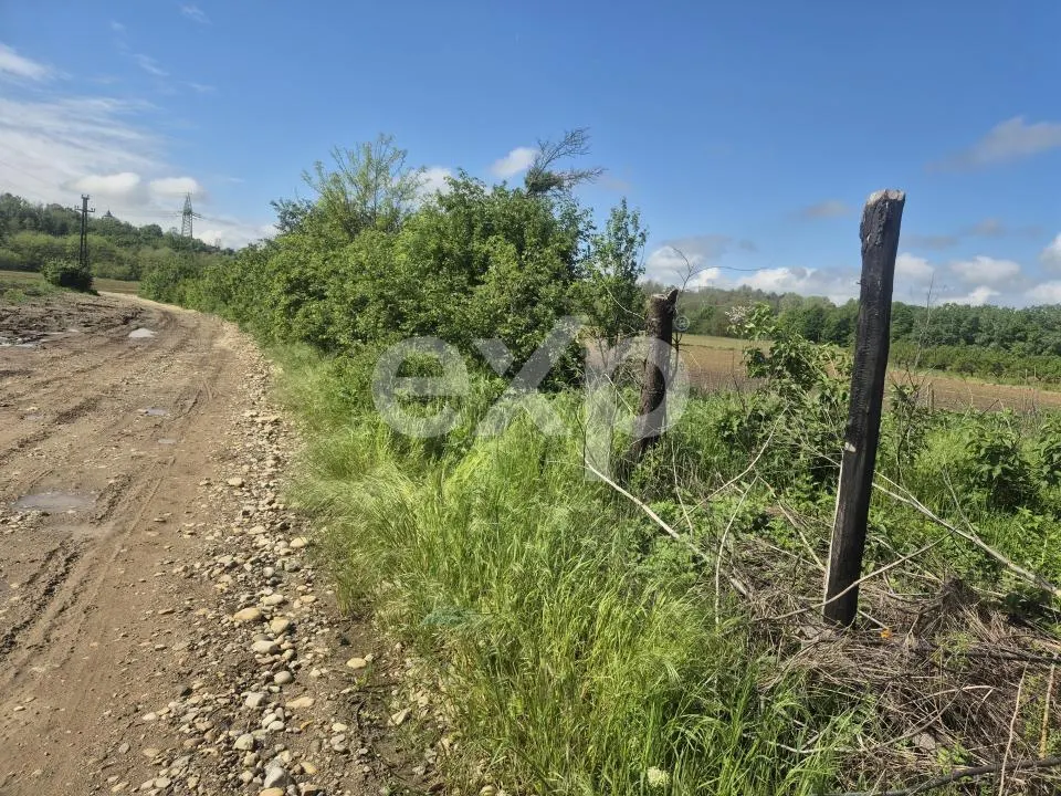 De vanzare teren la super pret in Albota, Cerbu, Arges - foto 1