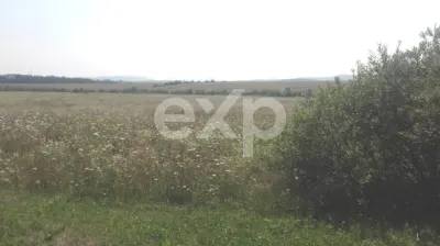 Teren 25000 mp Sercaita , Bv - Sercaita