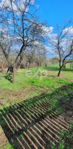 Casă la țară de vânzare – Buzoesti, Argeș | Ideală pentru locuit sau relaxare - foto 8