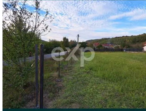 Teren intravilan 1.000 mp | Băbana | Stradal | Asfalt | Utilități la limită - foto 1