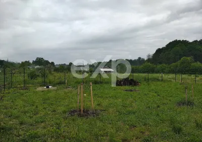 Teren intravilan de vânzare – Valea lui Enache, Baiculești, Argeș | 500 mp - Baiculesti