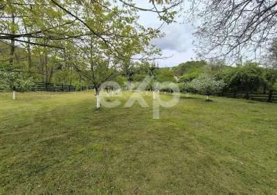 Casă deosebită 5 camere, 2100 mp teren, livadă – Mălureni, Argeș - foto 8