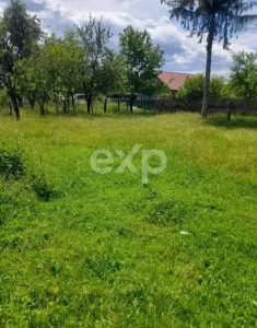 Casă cu 4 camere și teren generos de 940 mp – Stâlpeni - Cotoreni - foto 5