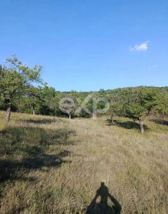 Teren extravilan de vânzare Tigveni | 4.944 mp | Panoramă superbă - foto 4