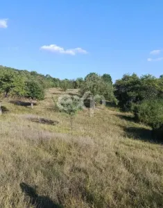 Teren extravilan de vânzare Tigveni | 4.944 mp | Panoramă superbă - foto 5