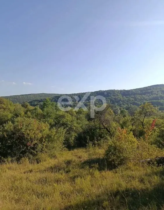 Teren extravilan de vânzare Tigveni | 4.944 mp | Panoramă superbă - foto 6