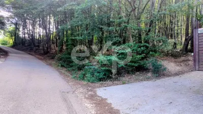 TEREN STEFANESTI(VALEA MARE) ZONA IN PLINA DEZVOLTARE - Stefanesti