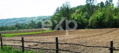 Teren intravilan 21.000 mp de vânzare – Suseni, Comuna Bogați, Județul Argeș - foto 6