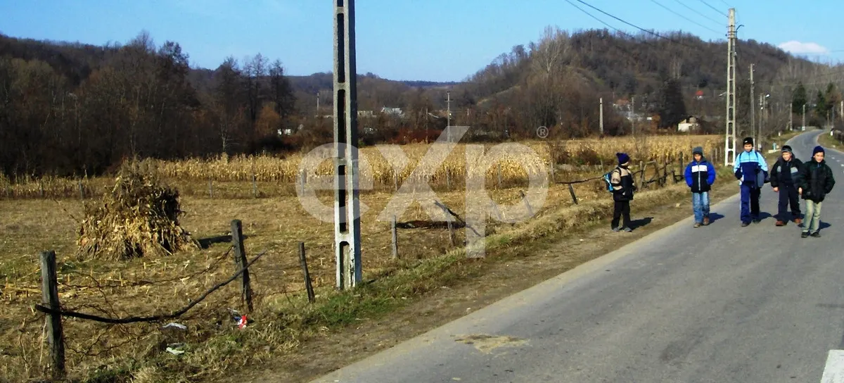 Teren intravilan 21.000 mp de vânzare – Suseni, Comuna Bogați, Județul Argeș - foto 8