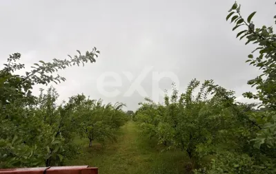 Casă semifinisată | Buzoiești | Teren generos 2.900 mp - foto 10