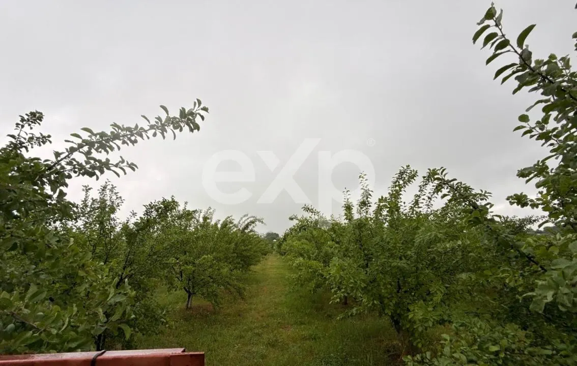 Casă semifinisată | Buzoiești | Teren generos 2.900 mp - foto 10
