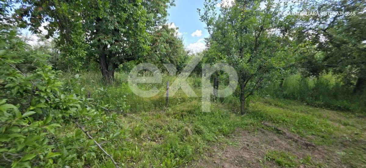 Casă individuală de vânzare, 6 camere, subsol 110 mp, teren 5.753 mp – Cândești - foto 13