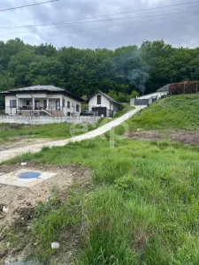 TEREN PREMIUM CU VEDERE SPECTACULOASA LA LIZIERA PADURII | BASCOV | 807 MP | - foto 2