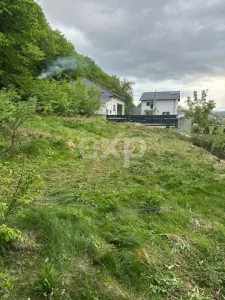 TEREN PREMIUM CU VEDERE SPECTACULOASA LA LIZIERA PADURII | BASCOV | 807 MP | - foto 3